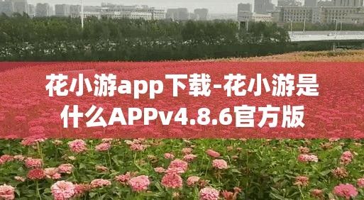 花小游app下载-花小游是什么APPv4.8.6官方版