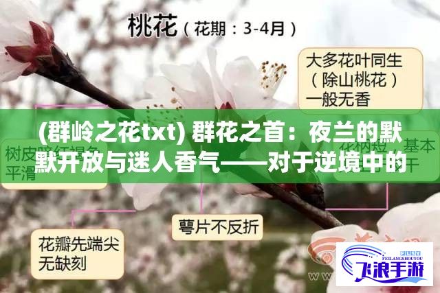 (群岭之花txt) 群花之首：夜兰的默默开放与迷人香气——对于逆境中的坚韧以及不被理解的孤独的一种隐喻