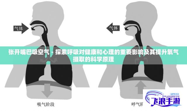 张开嘴巴吸空气 - 探索呼吸对健康和心理的重要影响及其提升氧气摄取的科学原理